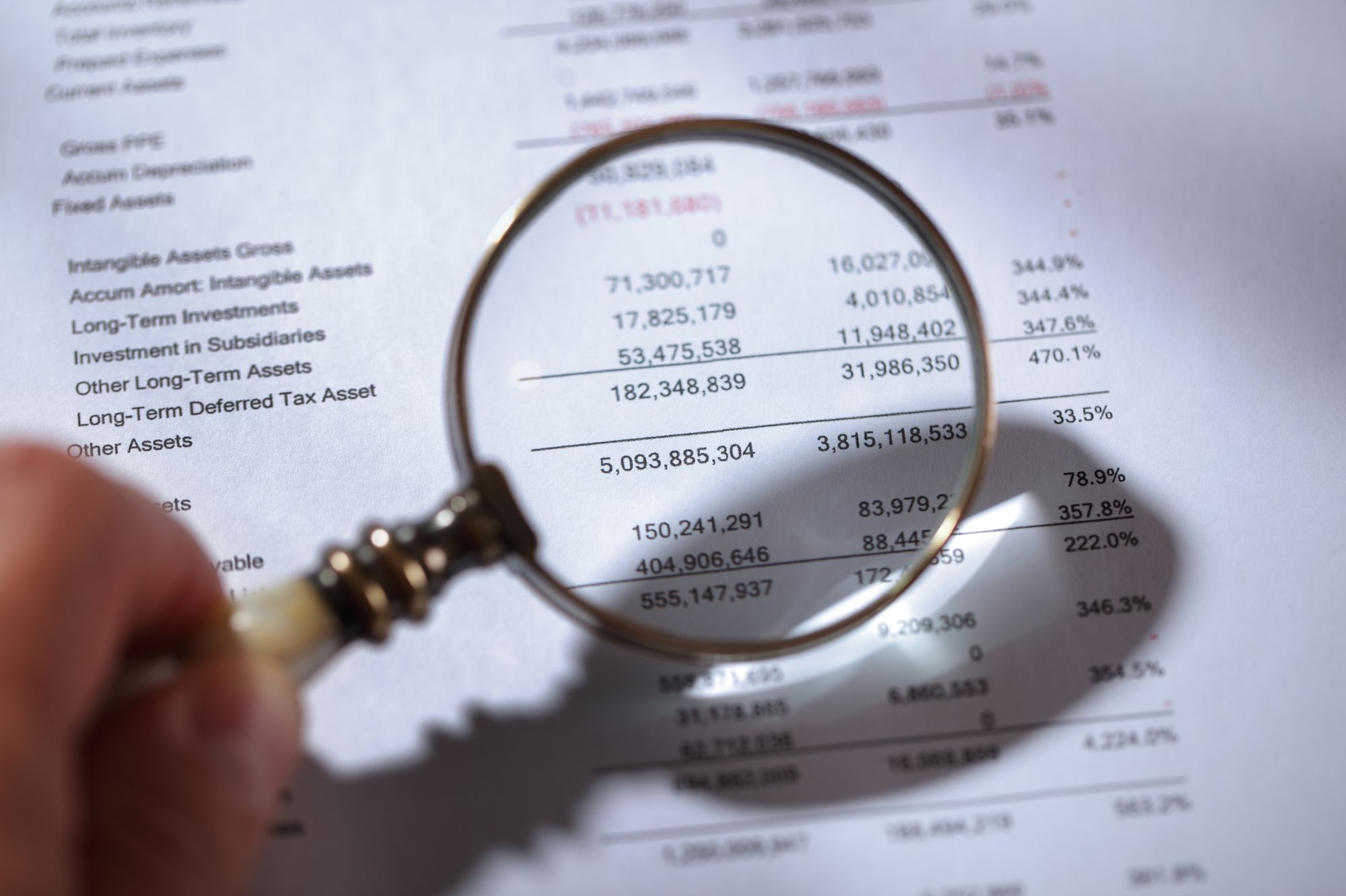 Search details in fincnacial balance sheet