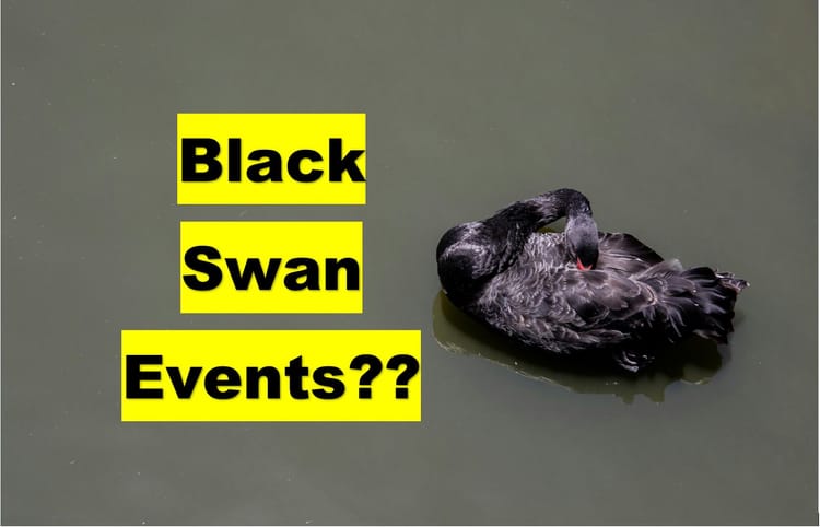 Black Swan Events in Financial Markets