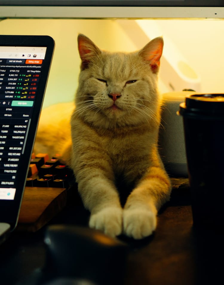 Transforming Fear and FOMO into Confident Trading Decisions