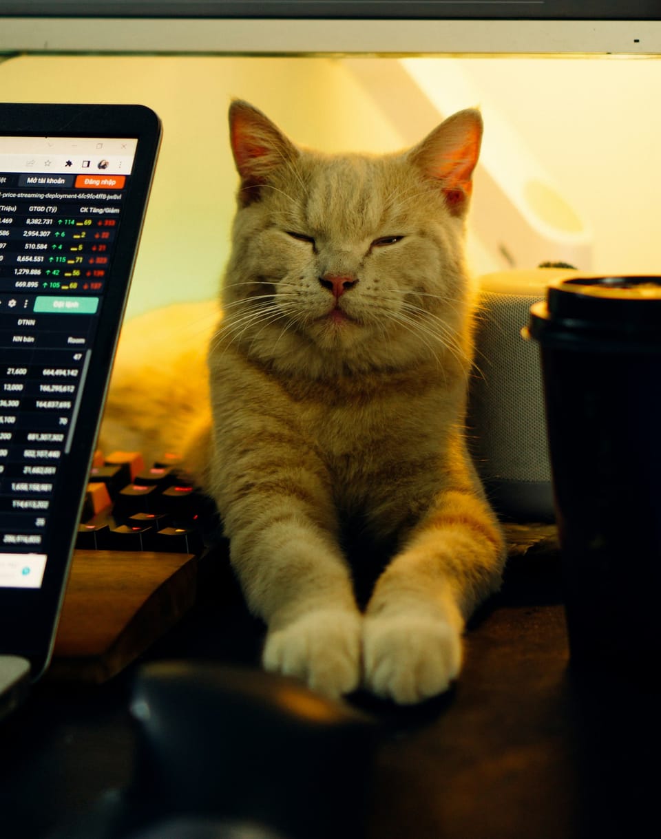 Transforming Fear and FOMO into Confident Trading Decisions